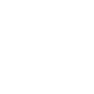 95 Icon