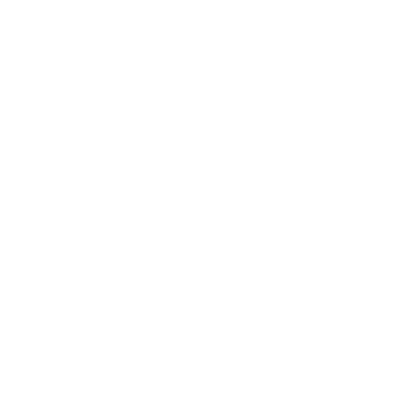 95 Icon